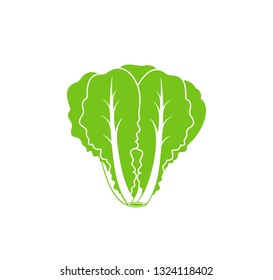 Romaine lettuce. Isolated lettuce on white background. Logo
