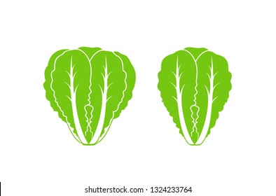 Romaine lettuce. Isolated lettuce on white background. Logo
