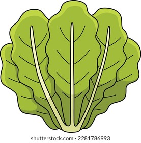 Romaine Lettuce Vegetable Cartoon Colored Clipart