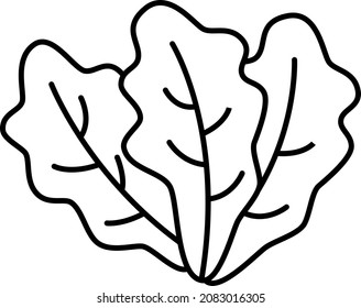 Romaine Lettuce Vegetable Icon Vector Outline