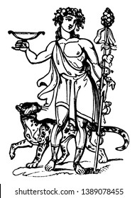 The Roman God known as Bacchus standing with wild animal. Bacchus was believed to be the Roman god of agriculture, wine and fertility copied from Greek God, vintage line drawing or engraving