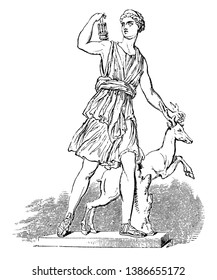 In Roman mythology, Diana was the goddess of the hunt, the moon and childbirth, being associated with wild animals and woodland, and having the power to talk to and control animals, vintage