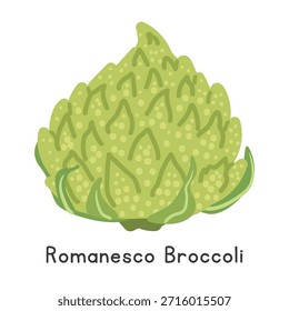 Ilustración vectorial plana de dibujos animados de brócoli románico aislado sobre fondo blanco