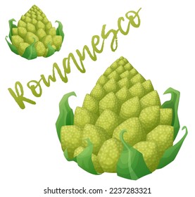 Romanesco broccoli vector icon isolated on white backgkround, green vegetable cartoon illustration, romanesque cabbage drawing, fresh healthy food ingredient