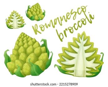 Romanesco broccoli whole and cut half vector icon, cauliflower vegetable cartoon illustration isolated on white background, healthy green vegetarian raw food