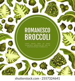 Romanesco Cabbage Banner Design with Bright Green Leaf Vector Template