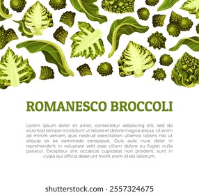 Romanesco Cabbage Banner Design with Bright Green Leaf Vector Template