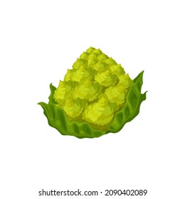 Romanesco cabbage head isolated green vegetable raw food isolated icon. Vector cauliflower cabbage, healthy organic vegetable, green veggie with leaves. Headed raw vegetarian food, whole romanesque