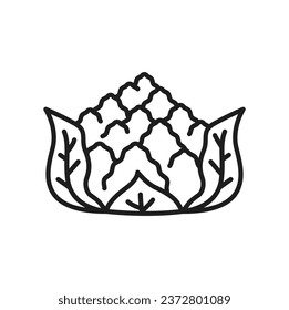 Romanesco cabbage head isolated vegetable raw food line icon. Vector cauliflower cabbage, healthy organic vegetable, veggie headed raw romanesque