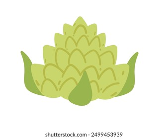 Repollo románico. Adecuado para la agricultura orgánica, imágenes de alimentación saludable y anuncios de mercado de verduras. Planta vegetal verde madura. Ilustración vectorial aislada sobre fondo blanco.