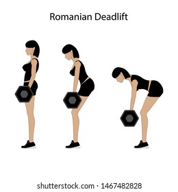 Romanian Deadlift Exercise On The White Background. Vector Illustration