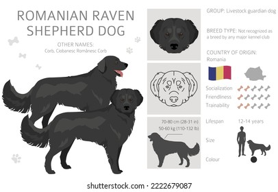 what dog breeds are sold in romania