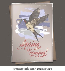 Romantic A4 format color vintage greeting card template with Spring is Coming brush calligraphy and color flying swallow sketch. Great for seasonal design.