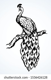 Romantic asian oiseaux pavo sit on branch. Freehand linear black ink hand drawn emblem sketchy in art scribble graphic retro style pen on paper. View closeup with space for text on light sky backdrop