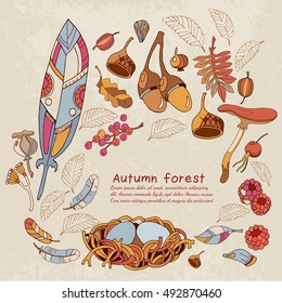 Romantic autumn card acorns, berries, fall leaves autumn forest background fall forest design elements. Hello Autumn.  Hand drawn vector illustration  