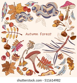 Romantic autumn card. Hello Autumn. Acorns, berries, autumn forest background, fall leaves, fall forest design elements. Hand drawn art vector illustration