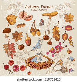 Romantic autumn card  Hello Autumn. Acorns, berries, fall leaves autumn forest background fall forest design elements.Hand drawn vector illustration 