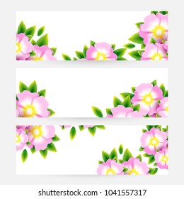 Romantic background with light pink blossoms with leaves. Floral design for cosmetics product or wedding invitation. Horizontal banners with copy space