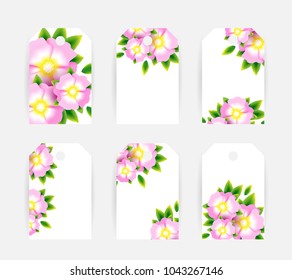 Romantic background with light pink blossoms with leaves. Floral design for cosmetics product or wedding invitation. Labels and tags
