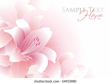 Romantic background with pink lily and copy space, vector illustration