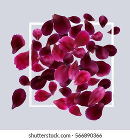 Romantic background with red, pink rose petals. Vector design for greeting card, poster template, flyer, home decor.
