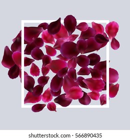 Romantic background with red, pink rose petals. Vector design for greeting card, poster template, flyer, home decor.