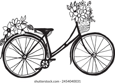 Romantic bicycle with a basket and flowers. Hand drawn illustration.