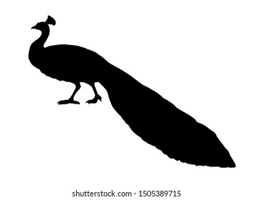 Romantic big asian aves stand on park ground. Dark ink hand drawn large go pet logotype emblem insignia in art contour etched print retro style on paper text space. Close up view on light sky backdrop