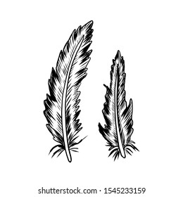 Romantic bird feather hand drawn ink sketch, vector illustration isolated on white background, decorative engraved vintage set for design ethnic scrapbook, greeting cards, wedding invitation