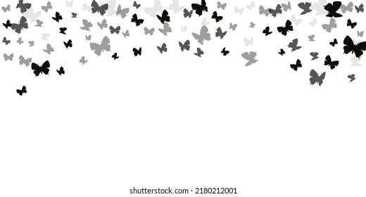 Romantic black butterflies abstract vector background. Spring pretty insects. Simple butterflies abstract dreamy wallpaper. Tender wings moths graphic design. Tropical creatures.