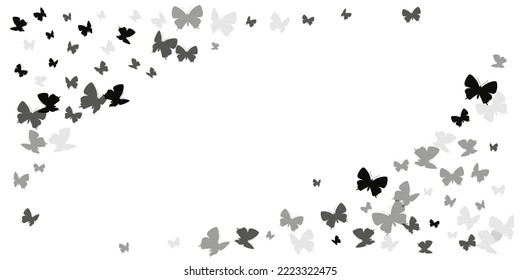 Las mariposas negras románticas abstractas del fondo vectorial. Las polillas de primavera coloridas. Las mariposas brillantes abstraen la ilustración ondulada. Las alas sensibles insectos diseño gráfico. Seres naturales.