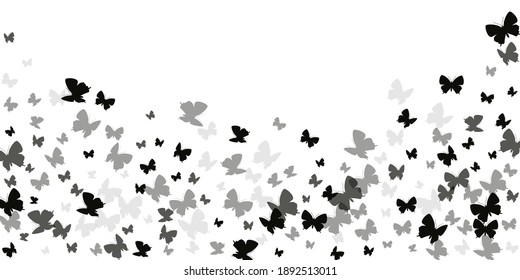 Romantic black butterflies flying vector wallpaper. Summer little insects. Detailed butterflies flying baby illustration. Tender wings moths graphic design. Tropical creatures.