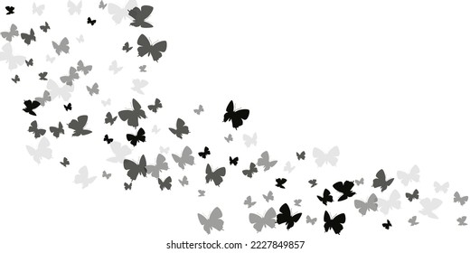 Romantic black butterflies flying vector illustration. Summer beautiful moths. Detailed butterflies flying kids wallpaper. Delicate wings insects graphic design. Tropical creatures.