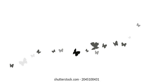 Romantic black butterflies isolated vector background. Summer cute moths. Detailed butterflies isolated children wallpaper. Tender wings insects graphic design. Garden beings.