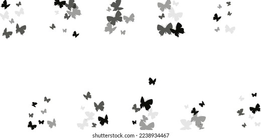 Romantic black butterflies isolated vector background. Summer ornate moths. Detailed butterflies isolated baby illustration. Delicate wings insects patten. Nature beings.