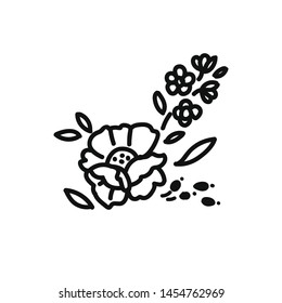 Romantic blooming bouquet. Vector Isolated Graphic Design Element. Natural, elegant, floral, botanical elements. Vintage, retro outline. Beautiful garden, wild flowers. Ornamental and decorative.