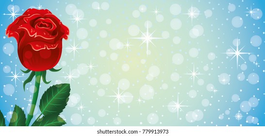 Romantic blue background with red rose.
