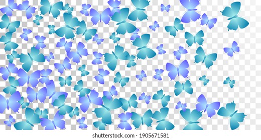 Romantic blue butterflies cartoon vector illustration. Summer beautiful insects. Simple butterflies cartoon children background. Delicate wings moths graphic design. Tropical beings.