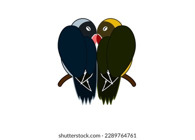 romantic blue and green lovebird images