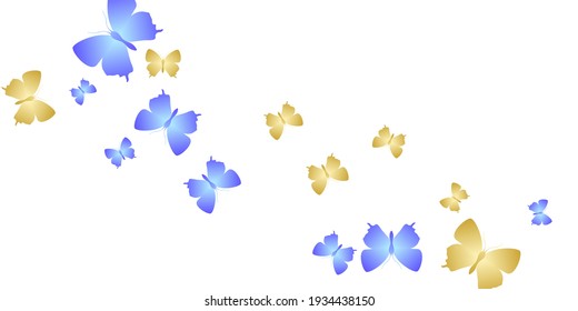 Romantic bright butterflies flying vector illustration. Summer beautiful insects. Detailed butterflies flying girly wallpaper. Tender wings moths graphic design. Garden beings.