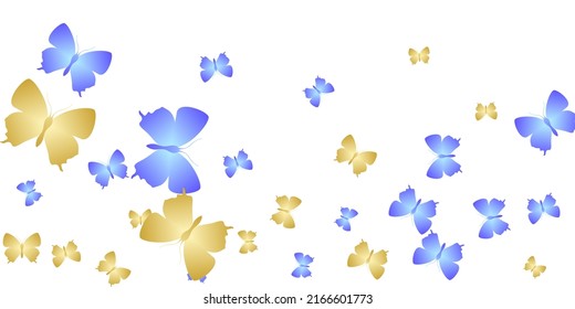 Romantic bright butterflies isolated vector illustration. Summer colorful moths. Detailed butterflies isolated baby wallpaper. Gentle wings insects patten. Tropical creatures.