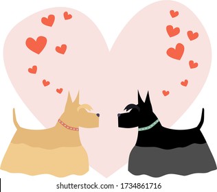 Romantic card concept with couple of dogs. Black and beige scottish terriers in love. Vector flat illustration