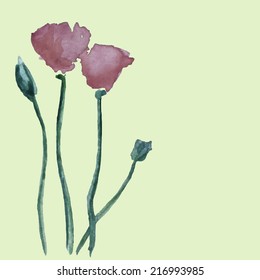 Romantic card with hand painted watercolor poppies made in vector