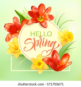 Romantic card with spring greeting. Background with tulips and daffodils. Vector illustration. 