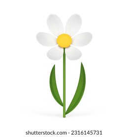 Romantic chamomile natural fresh flower summer spring floristic organic plant 3d icon realistic vector illustration. Floral nature ecology environment botanical blossom with green stem curved leaves