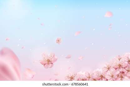 Romantic cherry blossom background, flying flowers isolated on pink and blue background in 3d illustration