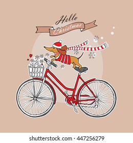 Romantic Christmas card with a cartoon picture of a dog Dachshund in jersey, scarf, Santa hat on a bicycle. Snowflakes in the basket. Vector illustration.
