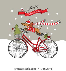 Romantic Christmas card with a cartoon picture of a dog Dachshund in jersey, scarf, Santa hat on a bicycle. Fir-tree in the basket. Vector illustration.