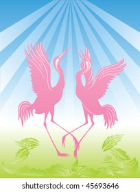Romantic couple of storks in love