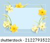 daffodil vector